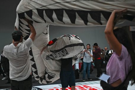 Mit der Riesen-Cobra zum Klimagipfel