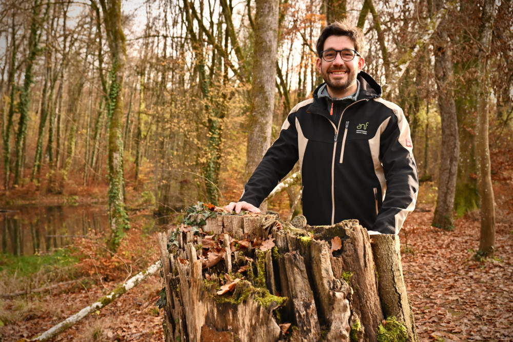 Ellergronn / Der Escher Wald im Wandel: Zwischen Klimastress und Zukunftschancen