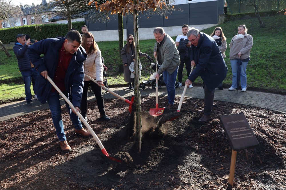 Tag des Baumes / Rodange begrüßt seine jüngsten Einwohner mit einer Hainbuche