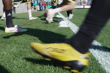 Sportpolitik / Die Krux mit der Kommunikation: Mehr Fragen als Antworten beim Thema Ipess