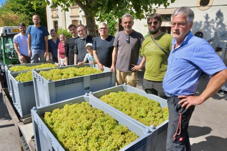 Einjähriges Jubiläum / Wie gut haben Sie aufgepasst? Hier geht’s zum Domaine-Tageblatt-Rätsel