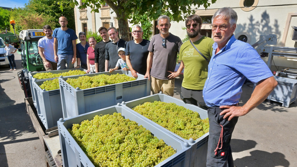 Einjähriges Jubiläum / Wie gut haben Sie aufgepasst? Hier geht’s zum Domaine-Tageblatt-Rätsel