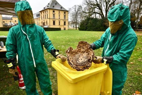 Operation erfolgreich, Patient tot