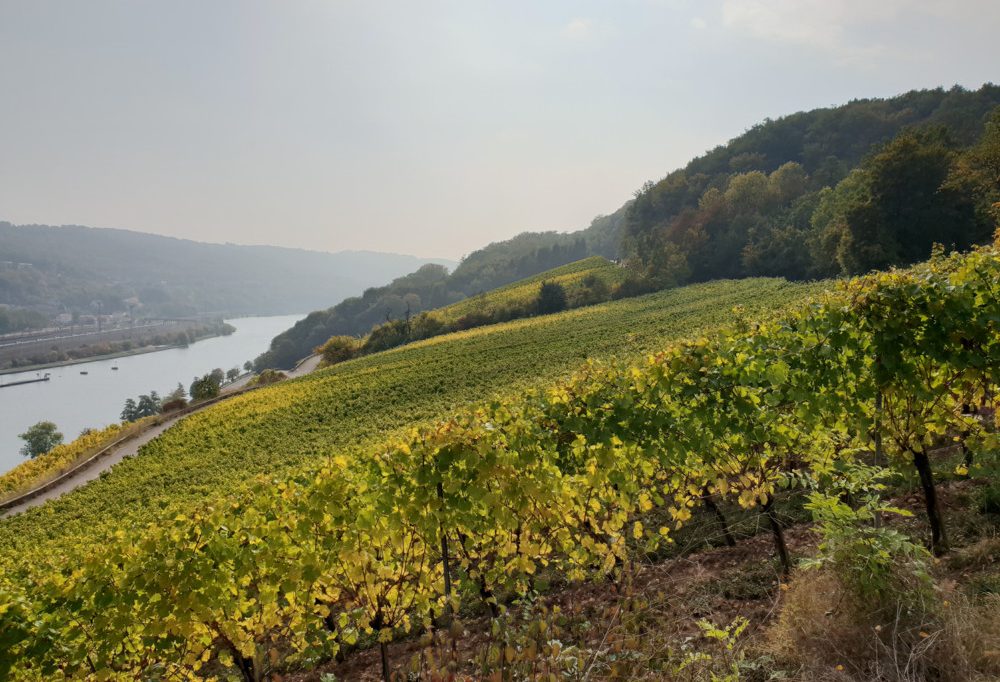 Aktiv zwischen den Feiertagen / Geführte Wanderung entlang der Luxemburger Mosel