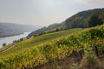 Aktiv zwischen den Feiertagen / Geführte Wanderung entlang der Luxemburger Mosel
