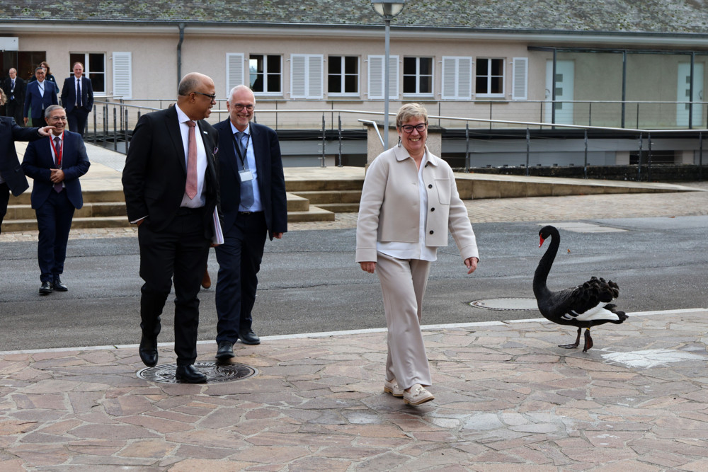 Gesundheit / 60 Akteure beteiligt: WHO prüft Luxemburgs Krisenantwort