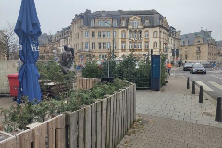 Gilbert Legil verkauft am boulevard Pétrusse (Foto), sein Partner Charles Hary auf dem Glacis – auch in Bonneweg und Merl gibt es Verkaufsstände