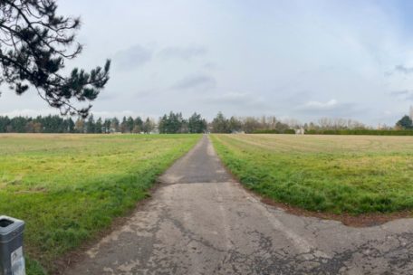 Beide Wiesen links und rechts des Feldwegs sollen bebaut werden