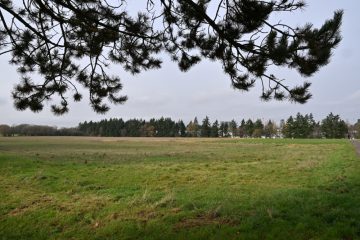 Forum / René Kollwelter accuse …: Hamm, Mondorf, Kockelscheuer, quel gâchis!