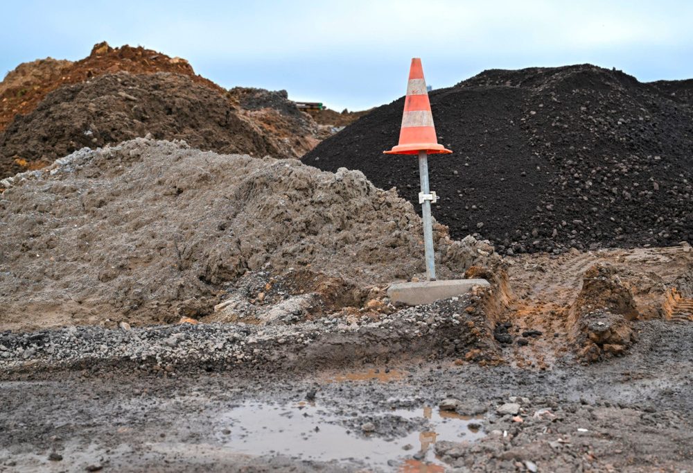 Editorial / Zwei Strategien, eine Taktik: Fachkräftemangel, Armutsbekämpfung und der Vogel Strauß