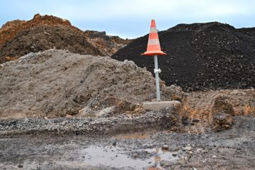 Editorial / Zwei Strategien, eine Taktik: Fachkräftemangel, Armutsbekämpfung und der Vogel Strauß