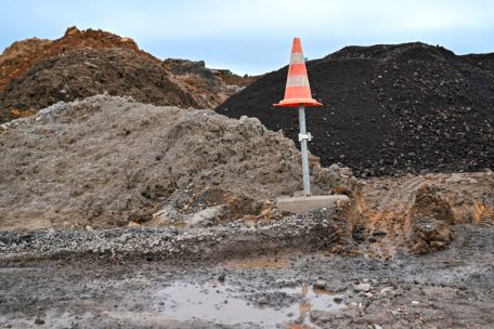 Editorial / Zwei Strategien, eine Taktik: Fachkräftemangel, Armutsbekämpfung und der Vogel Strauß