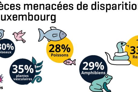 Der Bericht listet zahlreiche bedrohte Tier- und Pflanzenarten auf