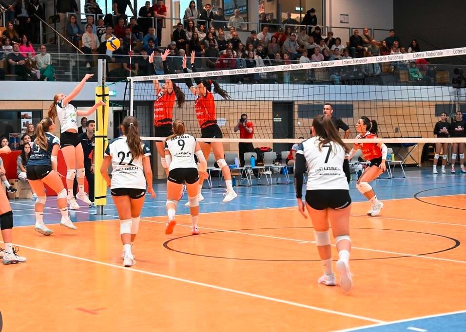 Volleyball-Pokal / Am Wochenende werden die letzten Final-Four-Teilnehmer gesucht