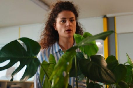 Eine zentrale Rolle in „Onkraut“ spielt Pablo, die sprechende Monstera-Pflanze