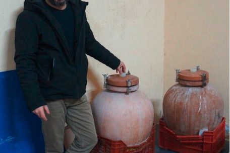 Im Weinkeller des Weingutes Gostolai reifen Weine aus autochthonen Rebsorten in den Amphoren&nbsp;