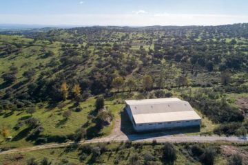 Neues Leben für alte Elefanten / Portugal eröffnet Europas erstes Schutzgebiet für Zirkus- und Zootiere