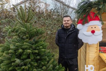 Nach den Feiertagen / Was tun mit dem alten Weihnachtsbaum?