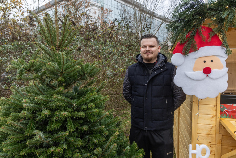 Nach den Feiertagen / Was tun mit dem alten Weihnachtsbaum?