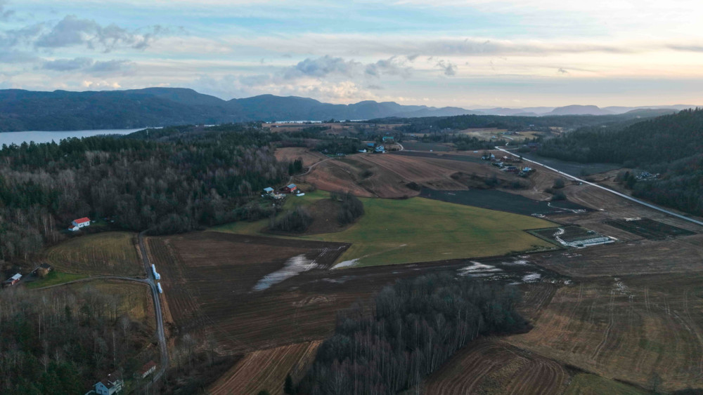 Dilemma in Norwegen / Seltene Erden oder seltene Käfer?
