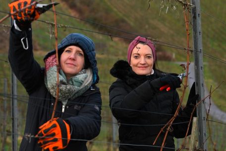 Carole und Jenny beim ersten Einsatz im W&eacute;ngert