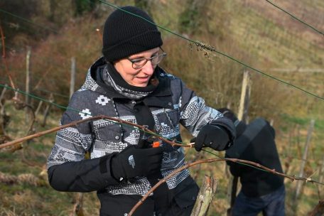 Sandra bevorzugte eindeutig die moderne Methode beim Binden der Reben
