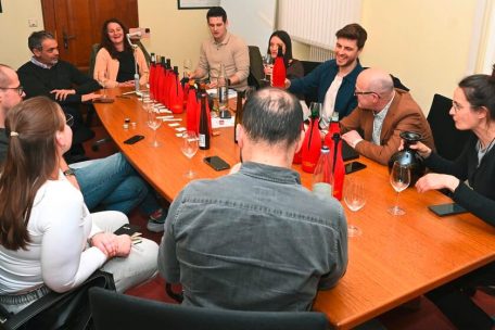 Nach fachkundiger Beratung und einigen Diskussionen hatten wir die Philosophie f&uuml;r unseren Rivaner festgelegt