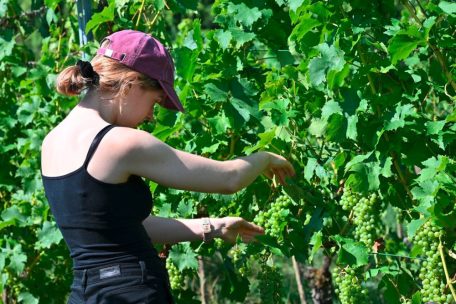 Kim hatte als Einzige mitgedacht und eine Sonnenkappe dabei