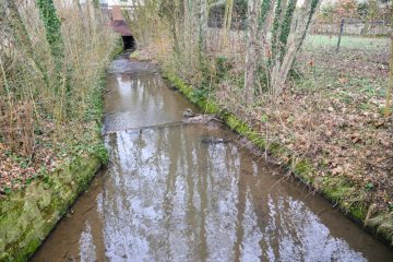 Kayl / Den Bach runter: Warum sich der Zustand der „Kälbaach“ nicht verbessert