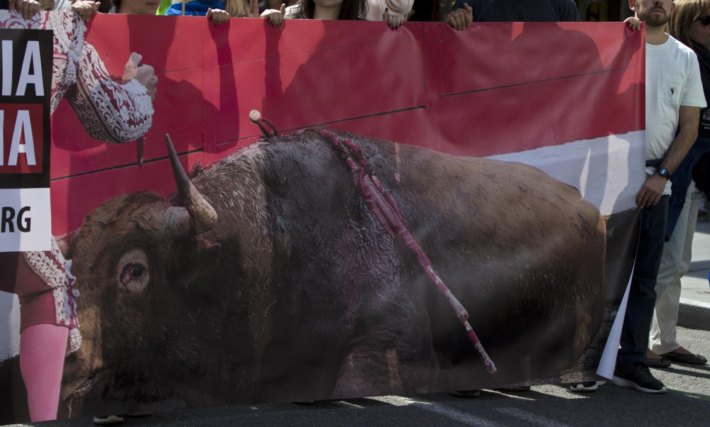 Tausende protestieren in Spanien gegen Stierkämpfe