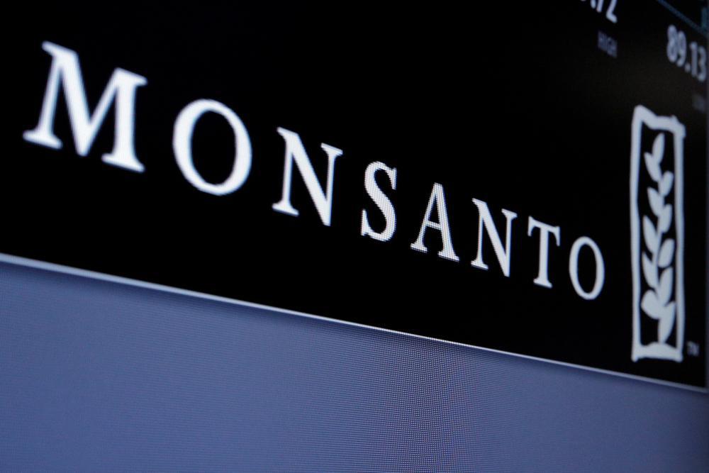 Wird Bayer Monsanto übernehmen?