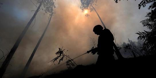 Mehrere Waldbrände wüten in Portugal