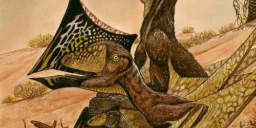 Forscher finden neue Pterosaurier-Art