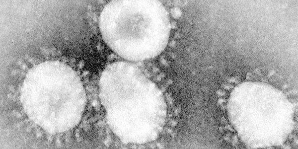 WHO warnt vor neuen Viren