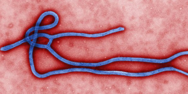 Mehr als 5000 Ebola-Tote