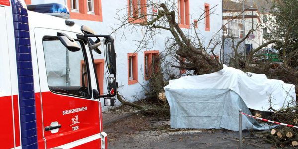Erneut stürzt Baum in Trier um