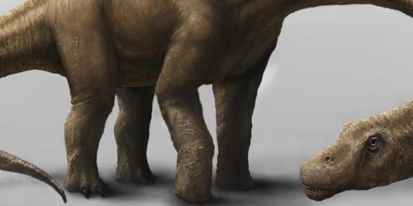 Saurier hatte Gewicht einer Elefantenherde