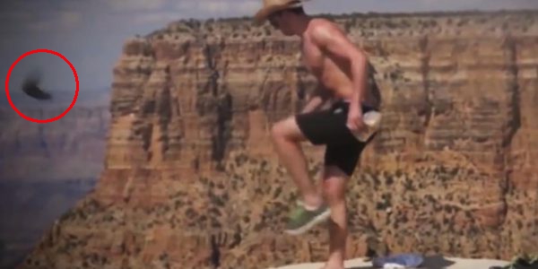 Tourist tritt Nager in den Grand Canyon