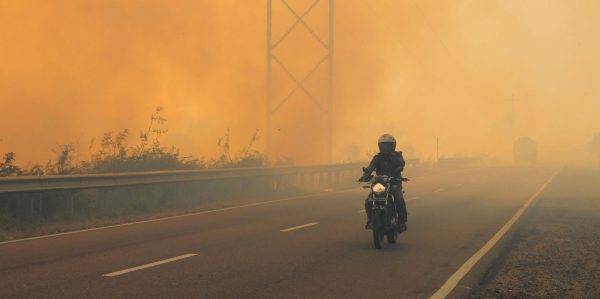 Indonesien ermittelt wegen Brandrodungen