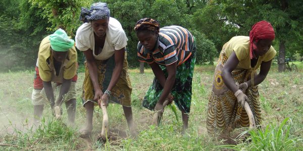 „Stoppt Investmentfonds auf Agrarstoffe“