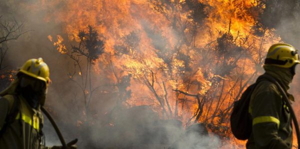 Waldbrand wütet im Naturpark