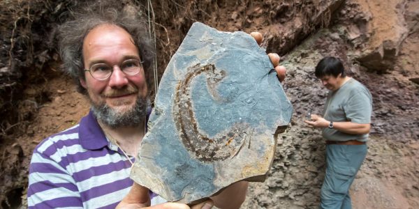 Mehr als 30.000 Fossillien entdeckt