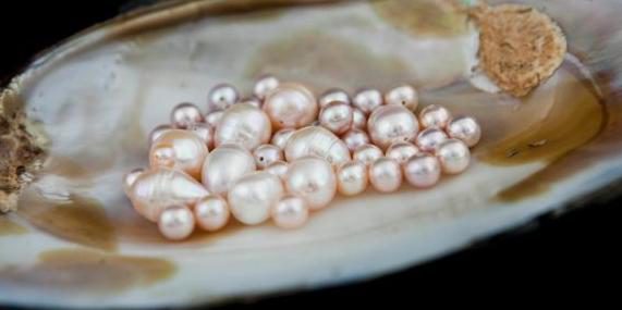 Glückspilz findet Perlen in Auster