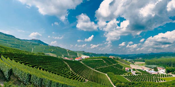 Die Weinregion Langhe-Roero