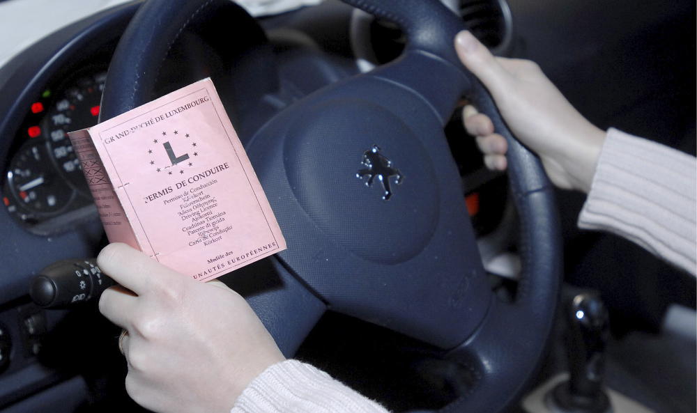 Zahl gefälschter Führerscheine steigt