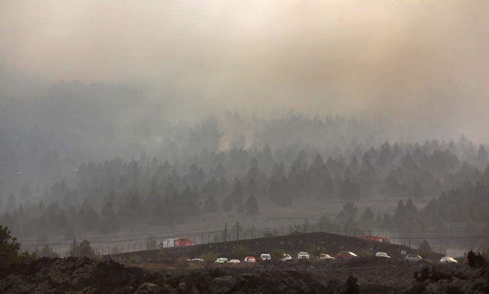 Feuer zerstörte bereits 2.500 Hektar Pinienwald