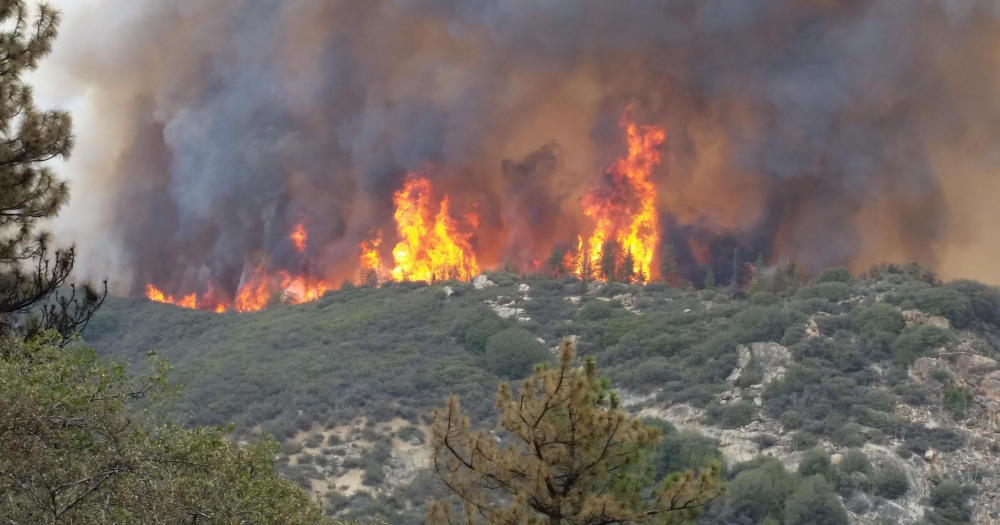 Zehntausende Hektar in Kalifornien zerstört