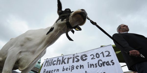 Milchbauern warnen vor Preisverfall