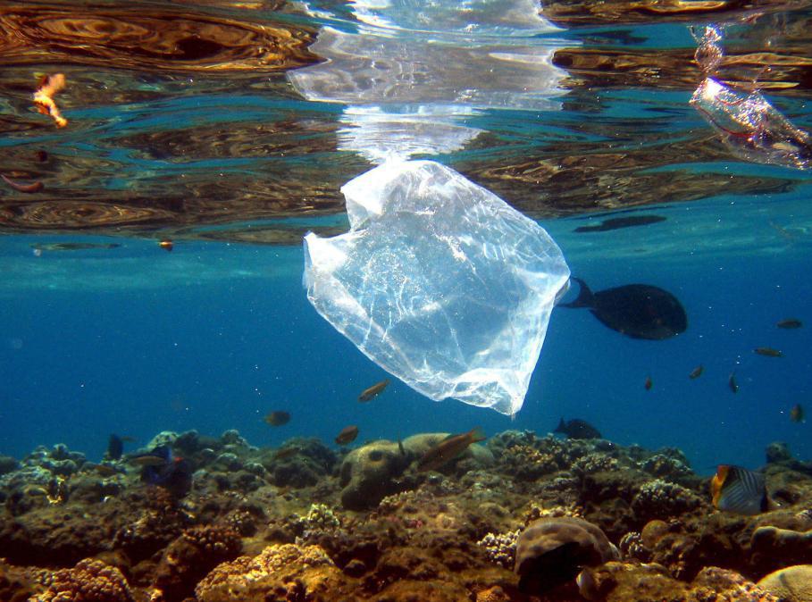 Projekt gegen Plastikmüll im Ozean startet 2018