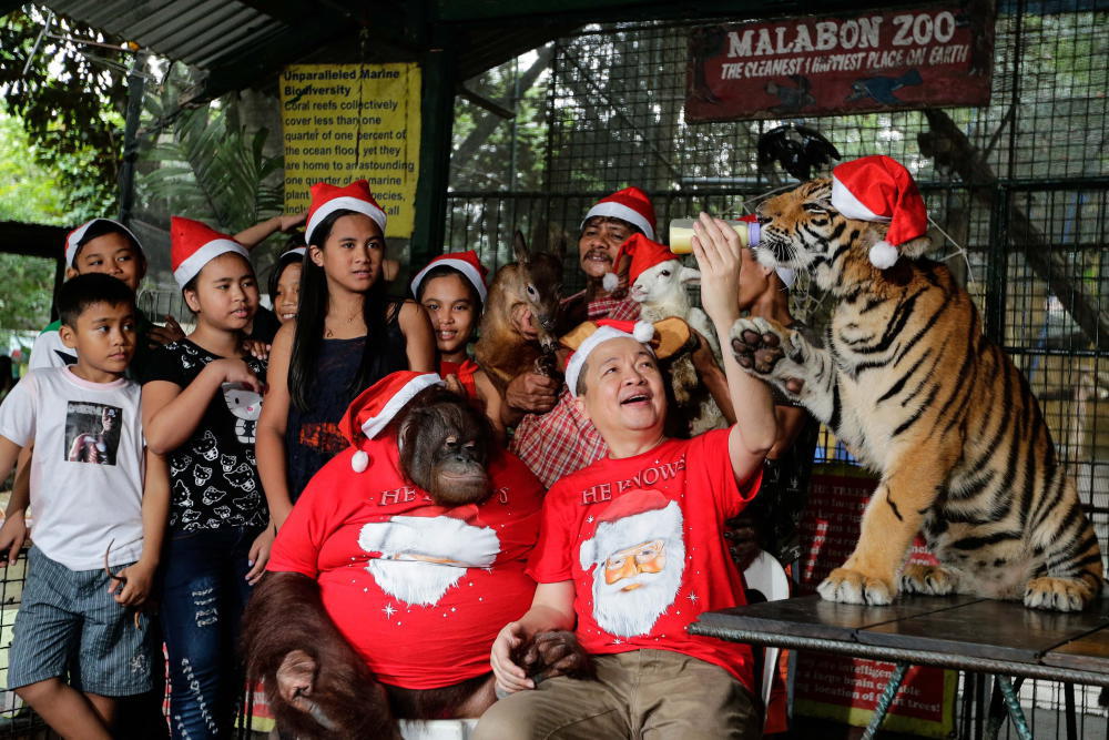 „Tier-Weihnachtsparty“ in Philippinen-Zoo